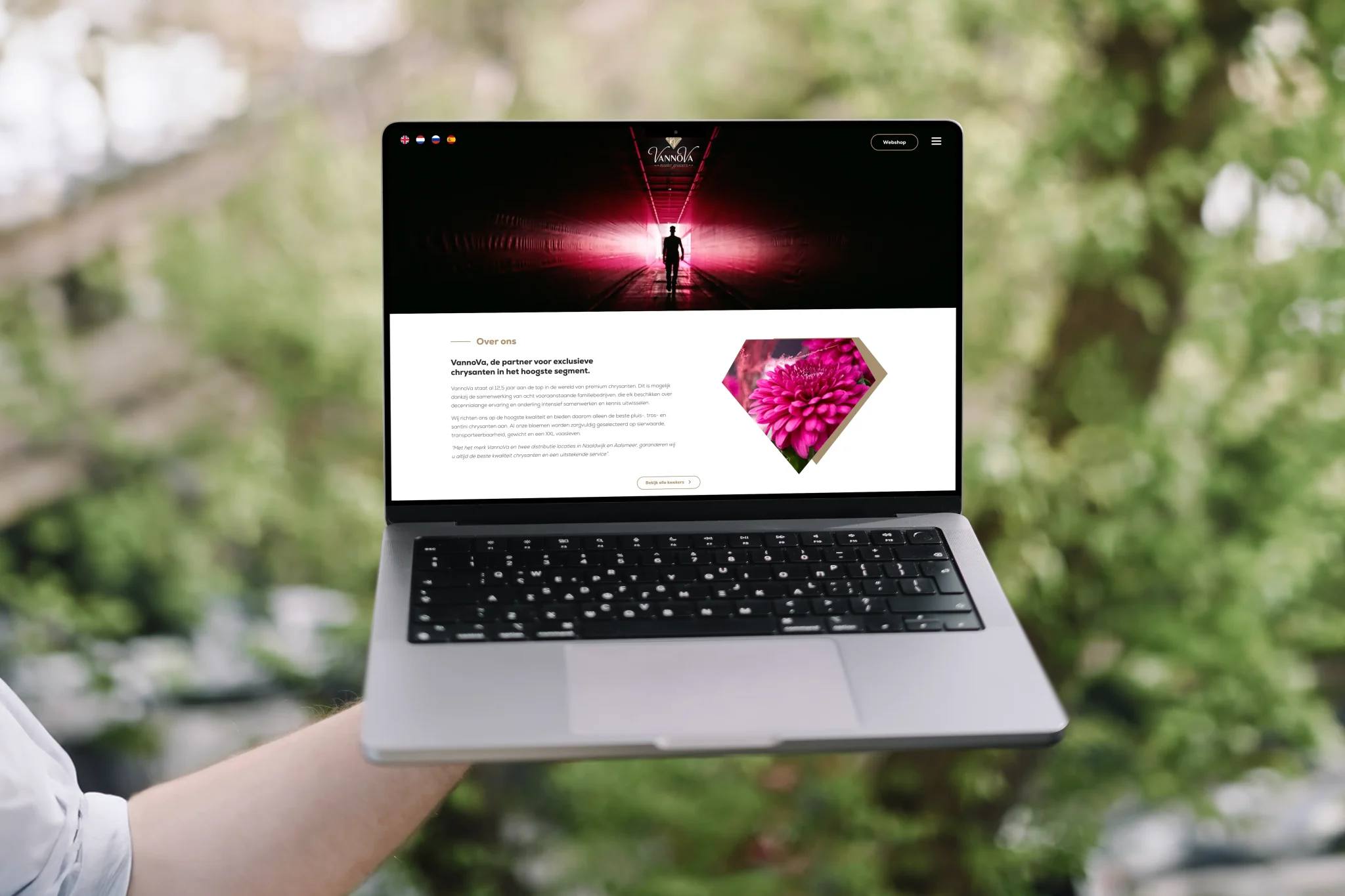 portfolio-vannova