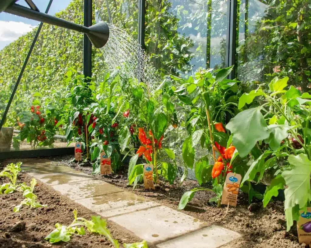 Productbeeld uit het assortiment van Vreugdenhil